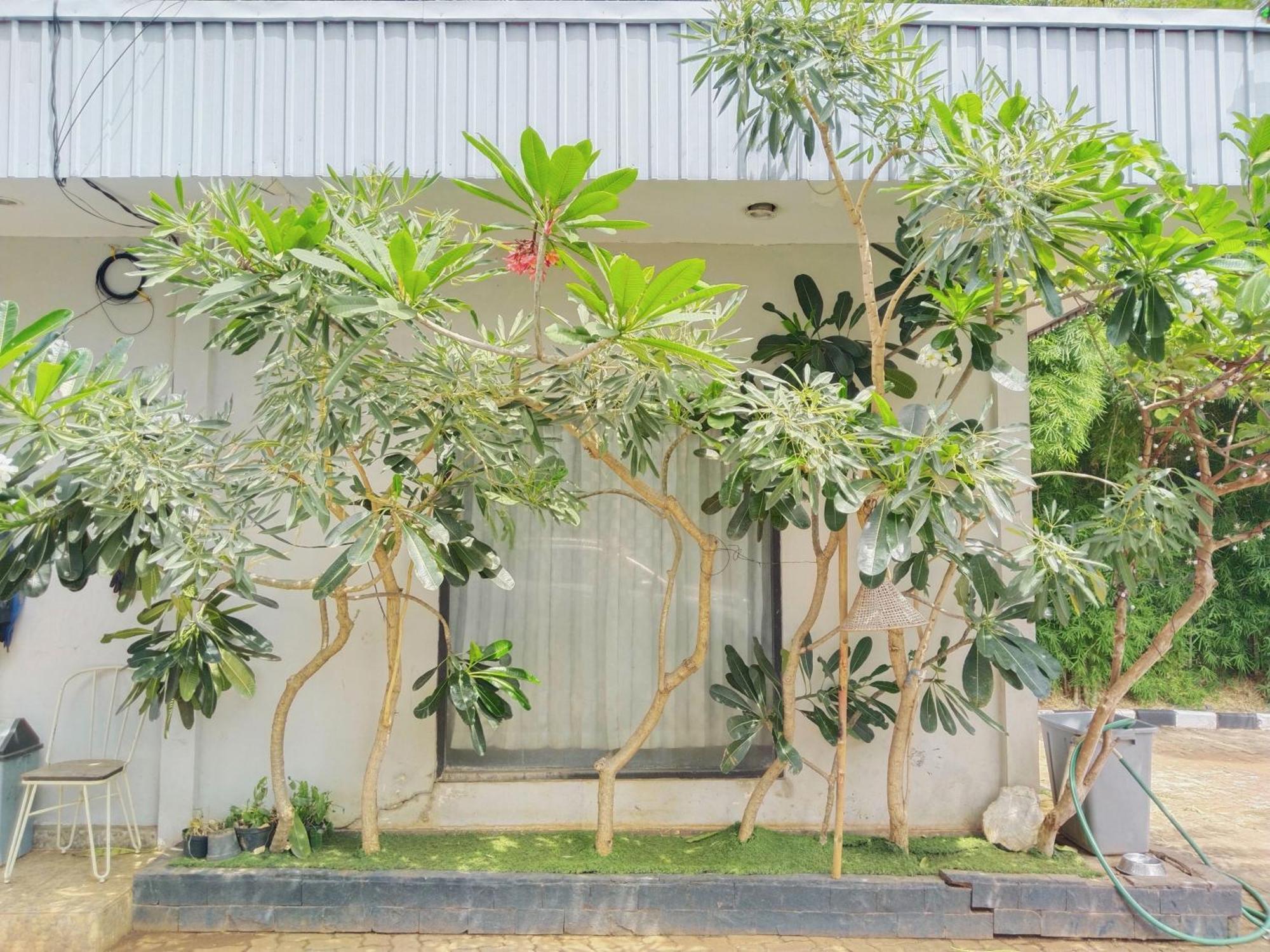 Amerta House Palmerah Powered By Cocotel *